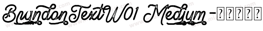 BrandonTextW01 Medium字体转换